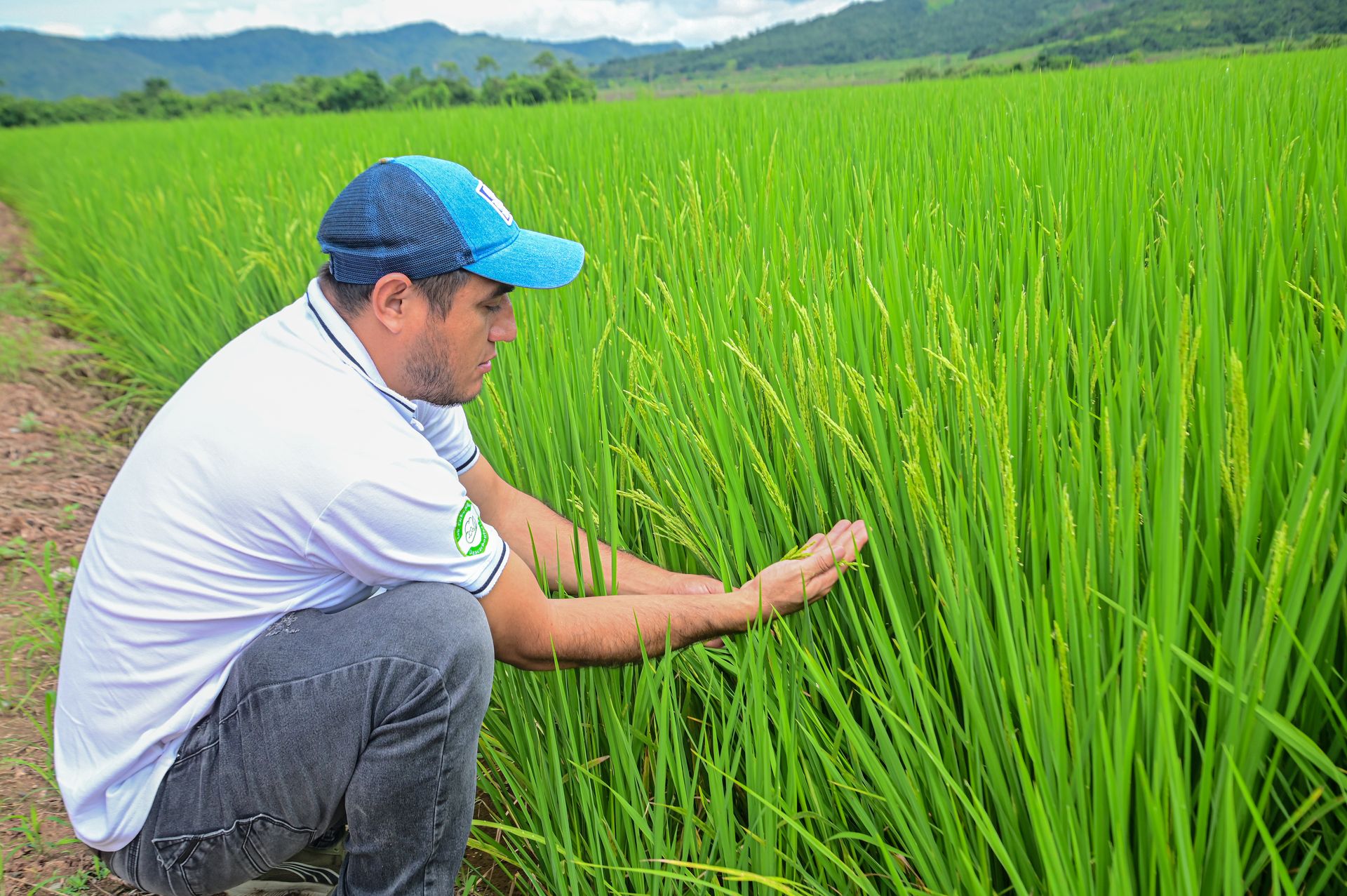 Ingeniero en campo